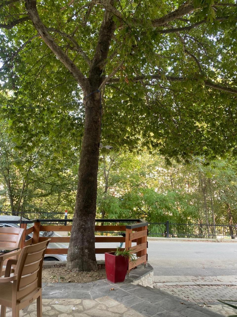 Appartement Stefanias Tirana